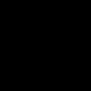 Meet your Posher, Regina